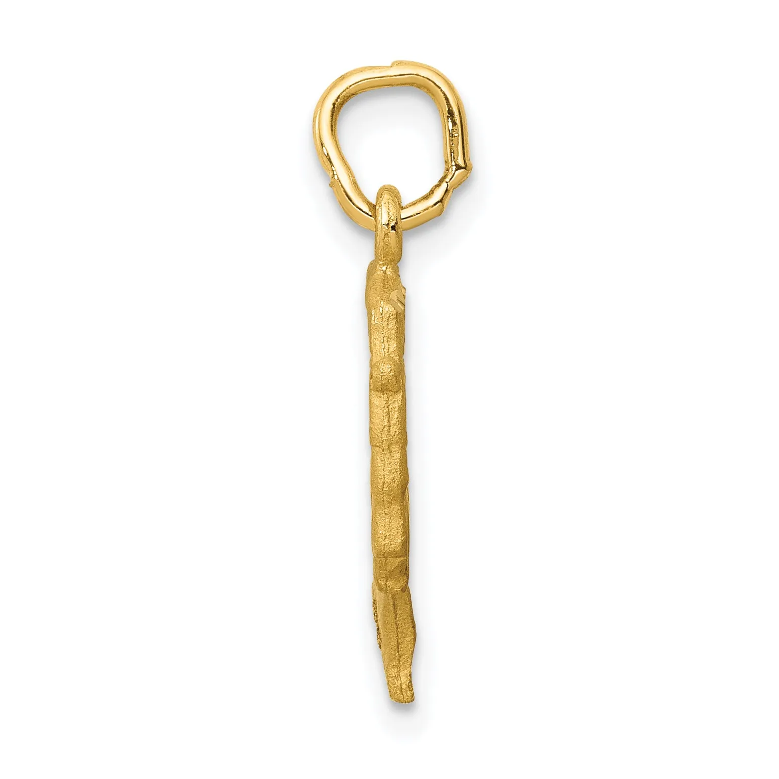 14K Gold Nefertiti Charm with Satin Front and Polished Back  Elegant Solid Design