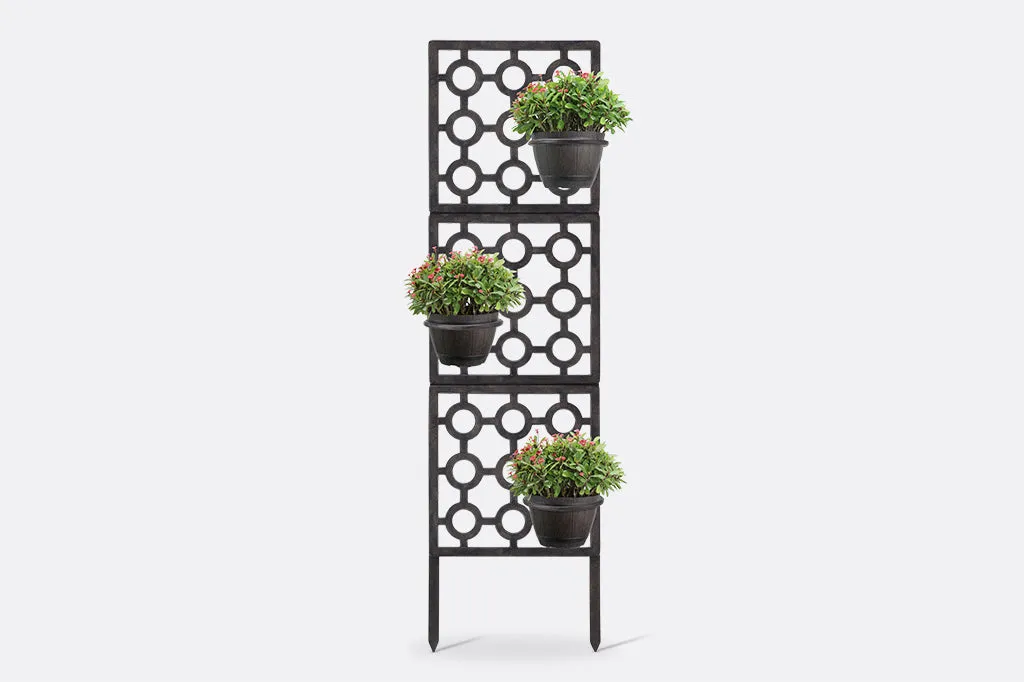 Anillo Trellis
