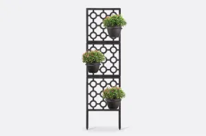 Anillo Trellis