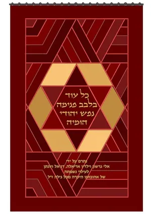 Ark Curtain - Modern Star Magen David