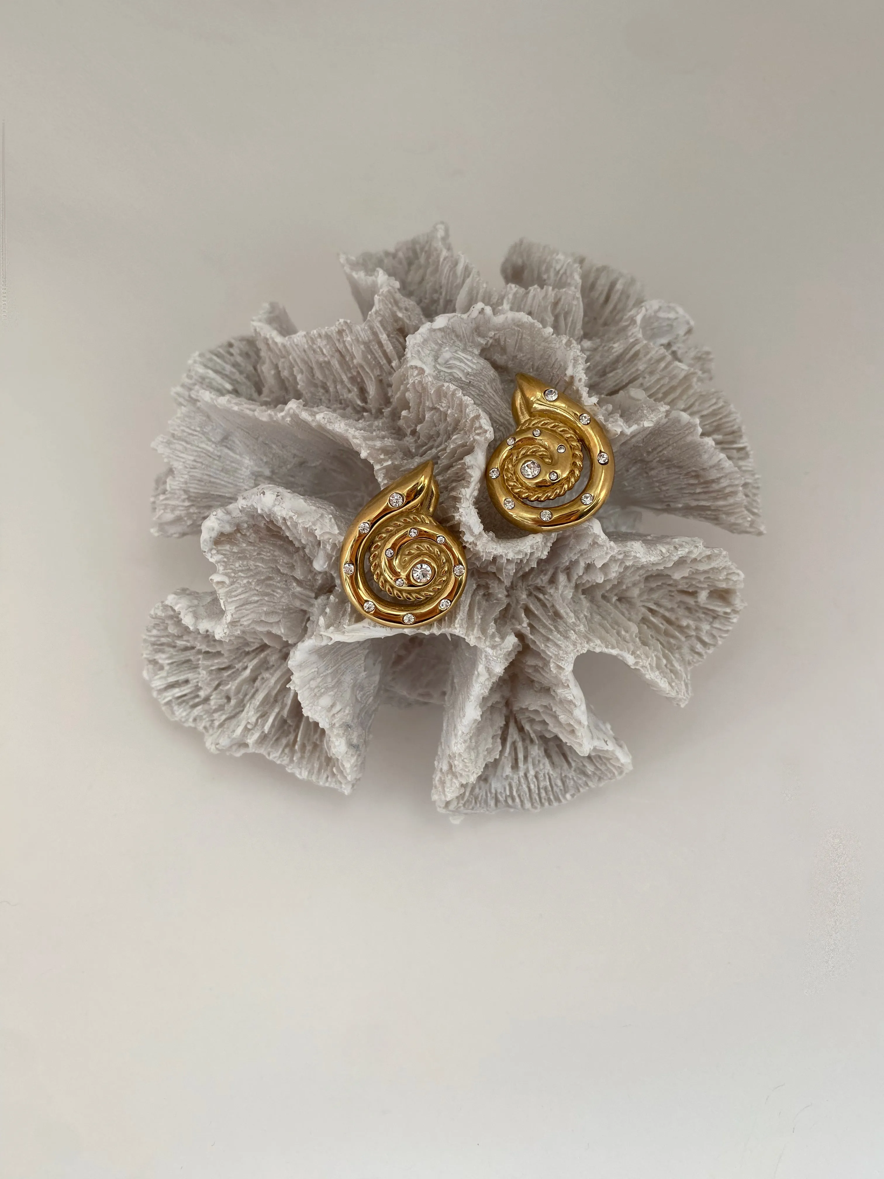 Bold Seashell Stud Earrings