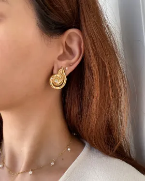 Bold Seashell Stud Earrings