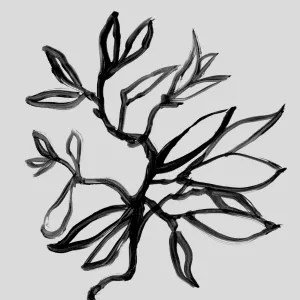 Brush Plant