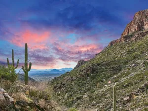 Desert Sunrise