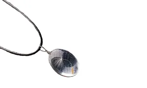 Glass bottle necklace Natural Dandelion Seed In Glass Long Necklace