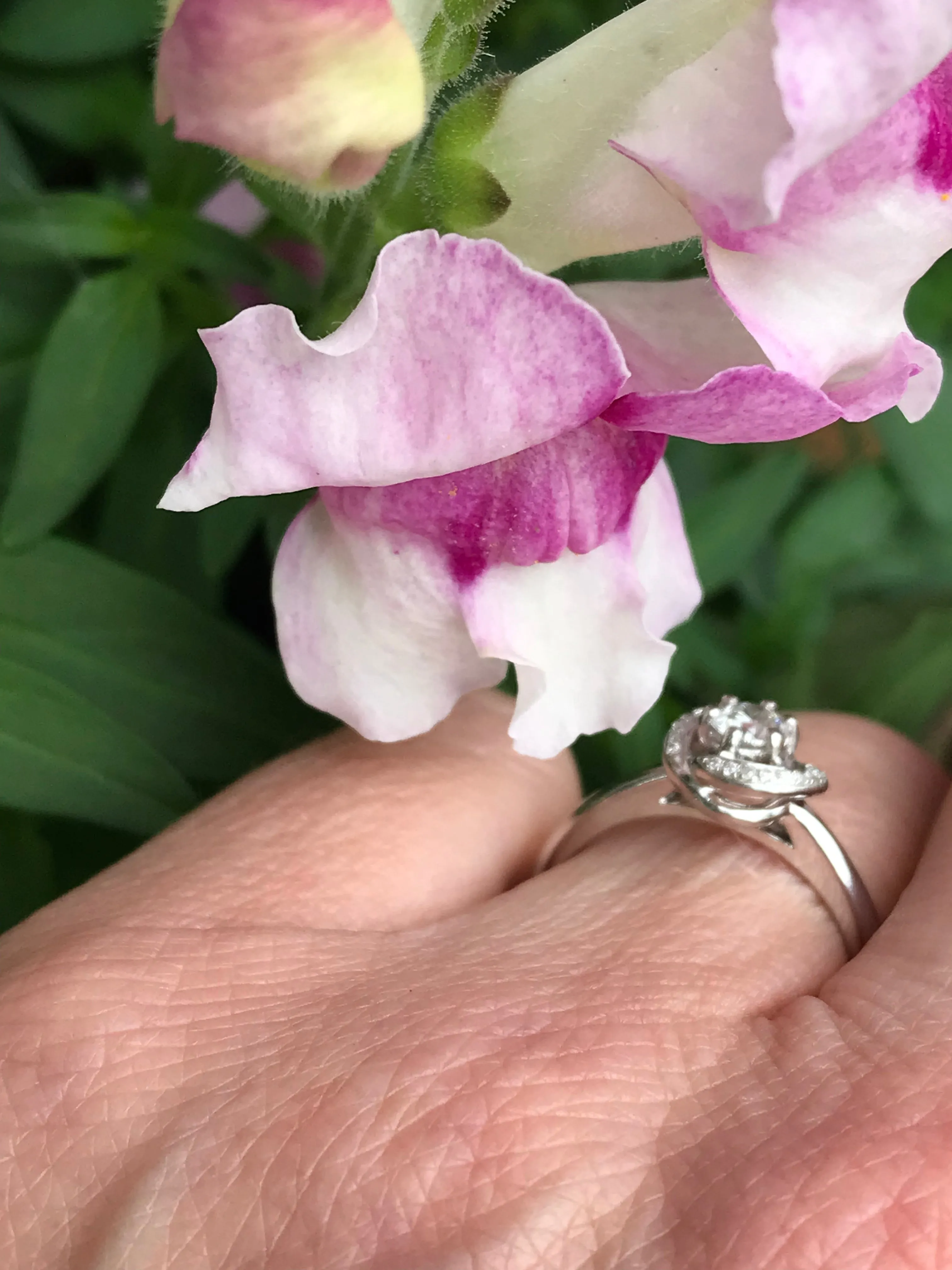 Platinum 0.29CT Aurora Natural Diamond Ring certified DVS2