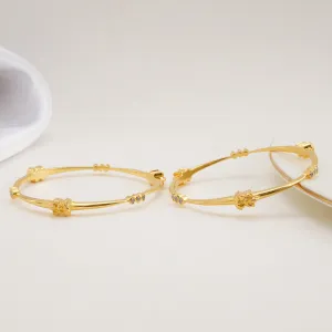 Prakthikha Nagas Pair Bangle