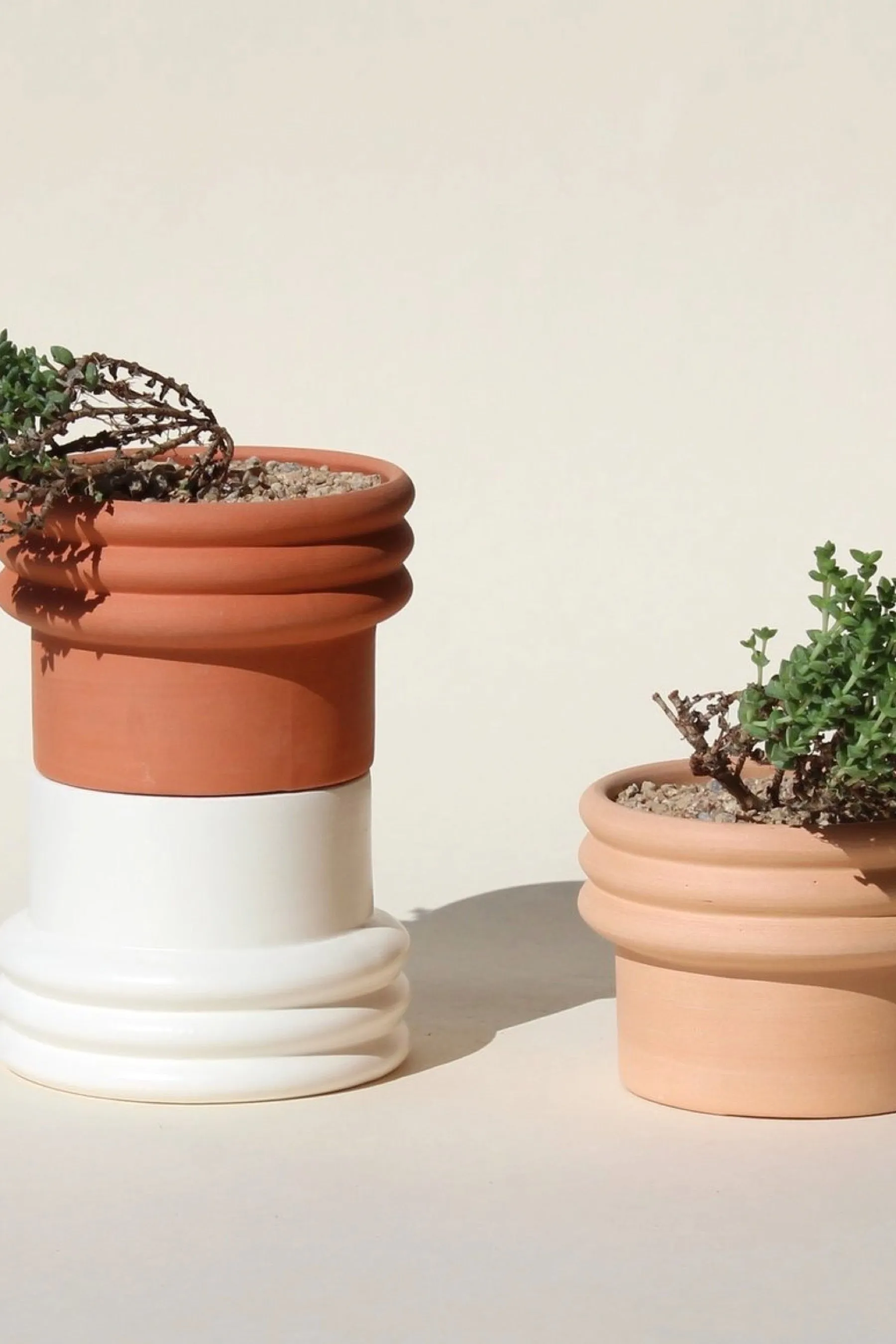 White Satin Rings 2 Planter